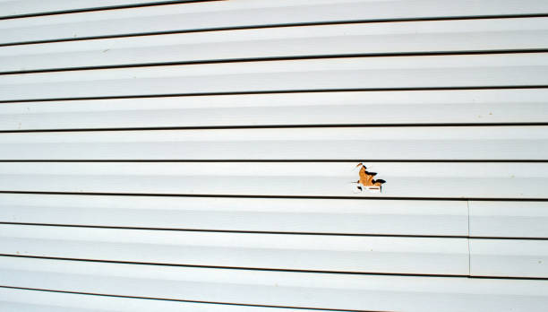 Best Custom Siding Design  in Guyton, GA